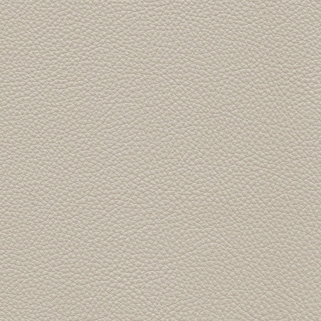 Ivory Beige